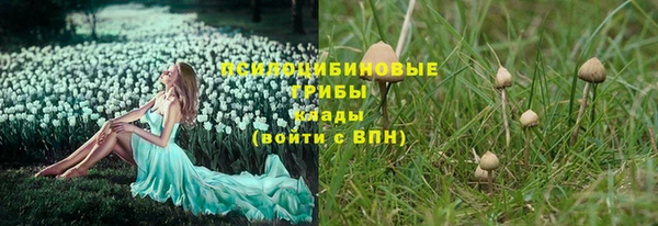 метадон Лиски