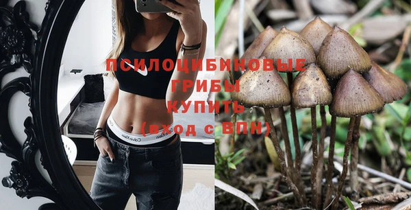винт Балахна