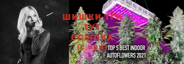 прущие крисы Белоозёрский