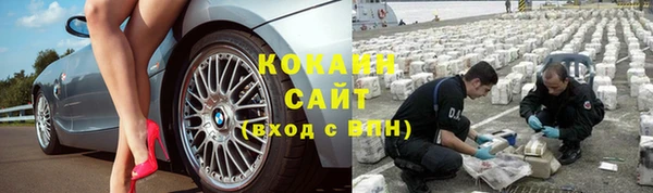 винт Балахна