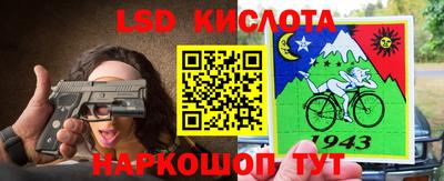 Альфа ПВП Гатчина