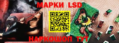 Альфа ПВП Гатчина
