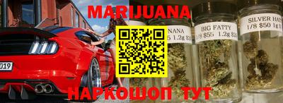 Альфа ПВП Гатчина