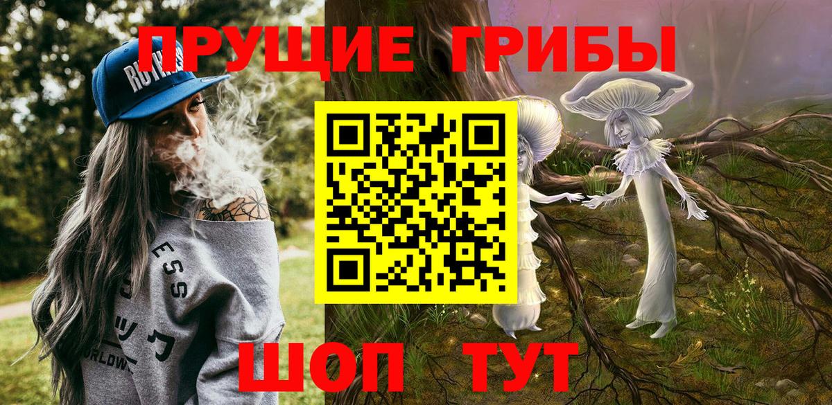 Бирск  Галлюциногенные грибы Psilocybe  Вход с VPN 